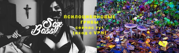 прущие крисы Аркадак